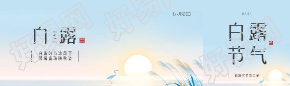 二十四节气白露公众号封面图