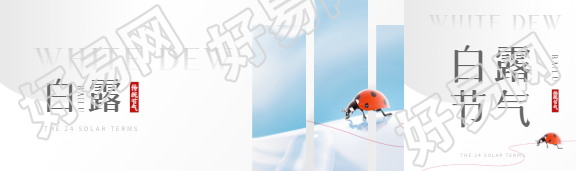 传统节气白露公众号封面图