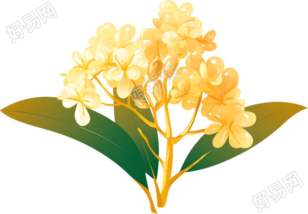 黄色桂花矢量插图
