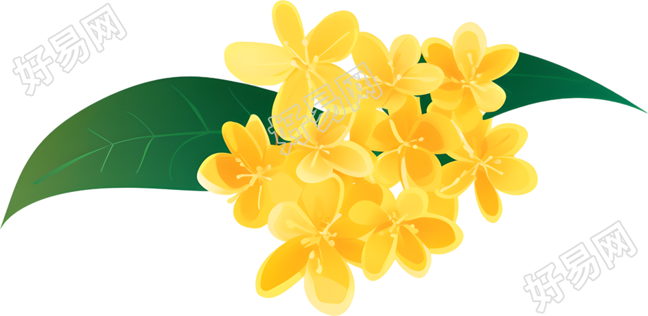 桂花唯美插图
