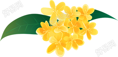 桂花唯美插图