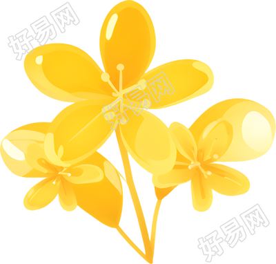 桂花花瓣插画