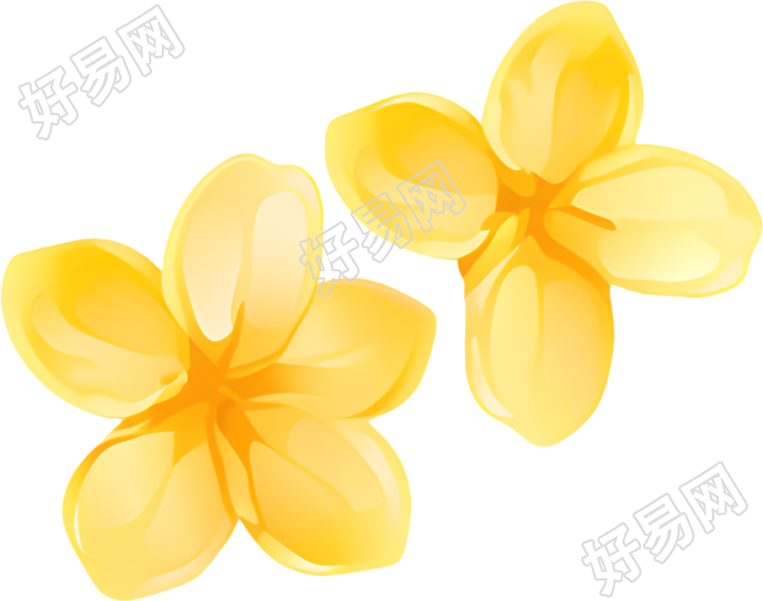 桂花花瓣插图