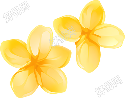 桂花花瓣插图