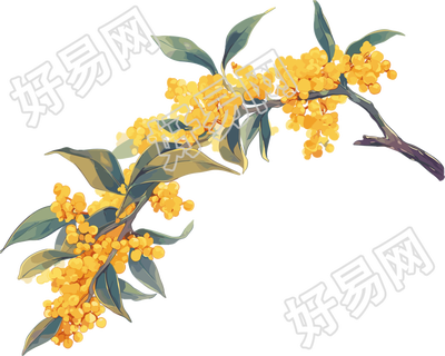 桂花插画设计元素