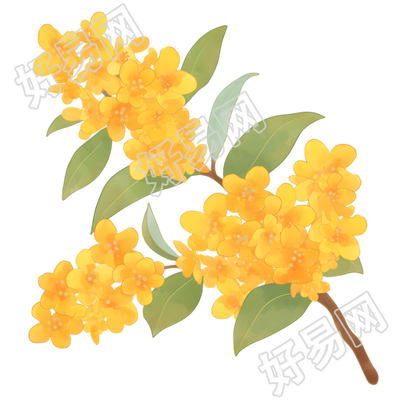 桂花创意图形素材
