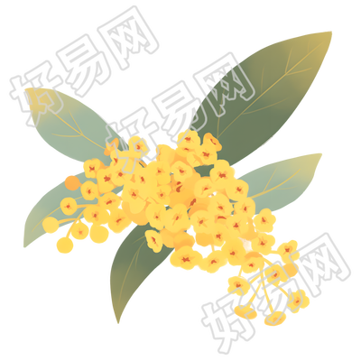 桂花水彩素材