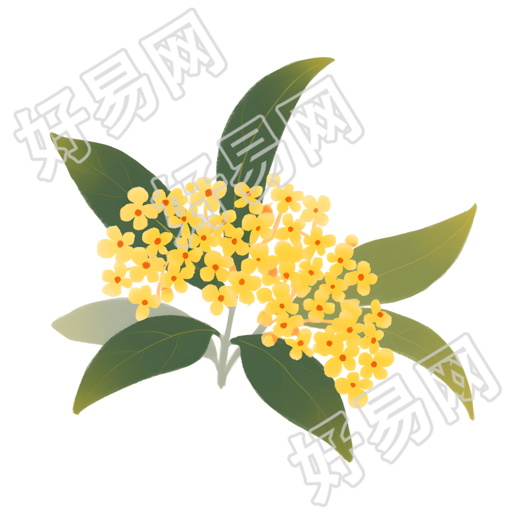 桂花可爱插图