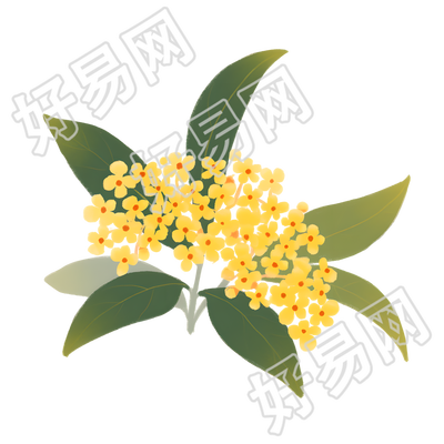 桂花可爱插图