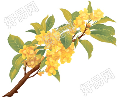 桂花商用设计元素