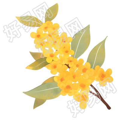 桂花PNG创意插图