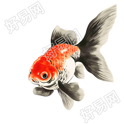 水墨金鱼商用素材