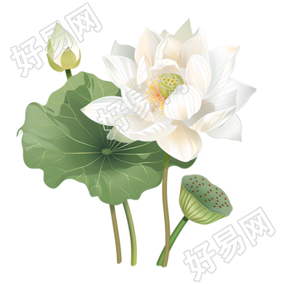 白色莲花创意设计元素