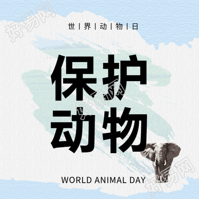 世界动物日爱心活动微信公众号次图
