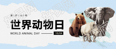 世界动物日蓝色简约微信公众号首图
