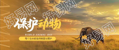 世界动物日善待动物微信公众号首图