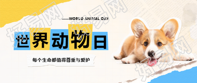 世界动物日可爱狗狗微信公众号首图