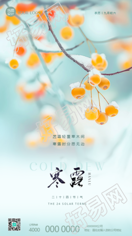 寒露节气浆果实景宣传手机海报