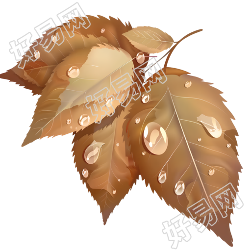 露水透明背景素材