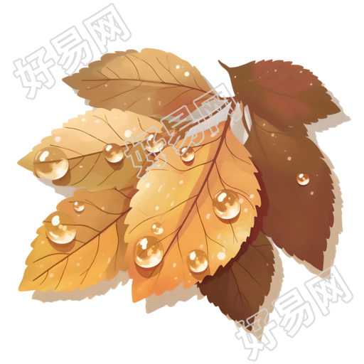 露水叶子插画