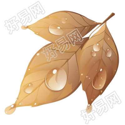 露水水彩风格插画