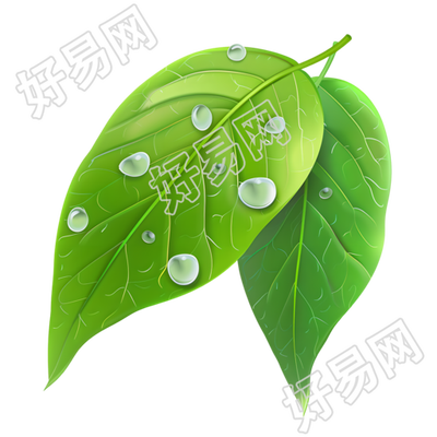 露水创意设计插画