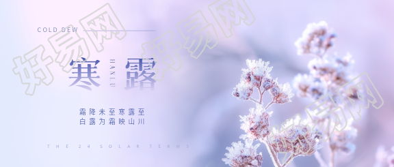 寒露节气唯美实景微信公众号首图