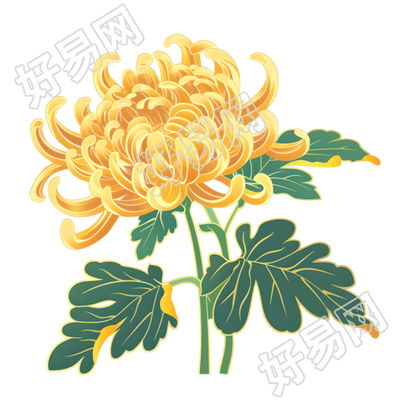 菊花卡通元素