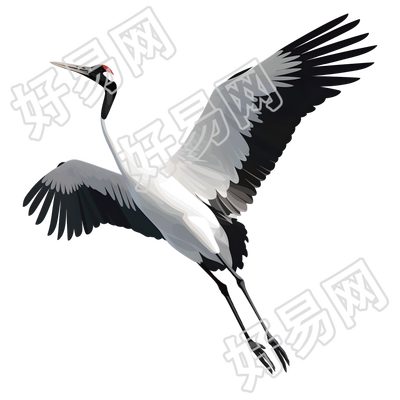仙鹤矢量插画