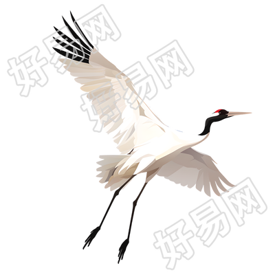 仙鹤创意设计插画