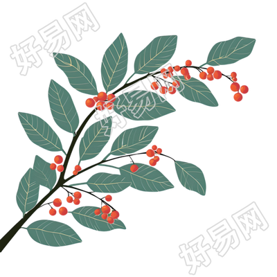 茱萸PNG图形素材