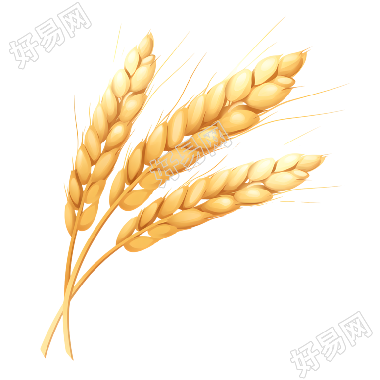 小麦商业可用素材
