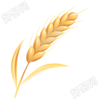 小麦创意商业设计元素