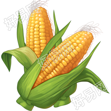 玉米图标素材