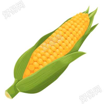 玉米卡通插图
