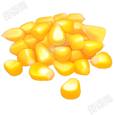 玉米高清矢量插画