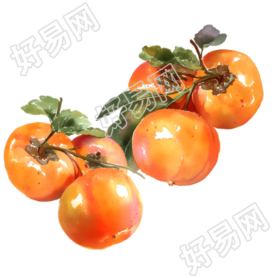 柿子商用插图