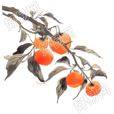 柿子古风素材