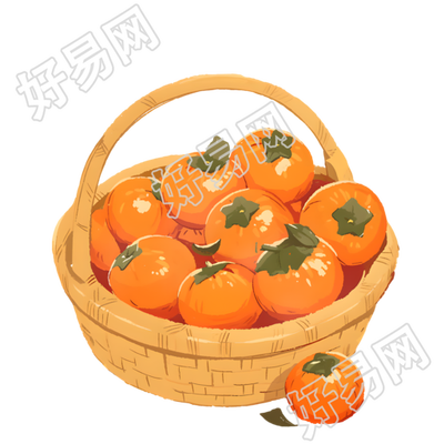 一篮子柿子素材