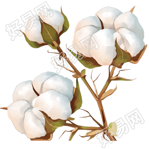 棉花卡通插画设计