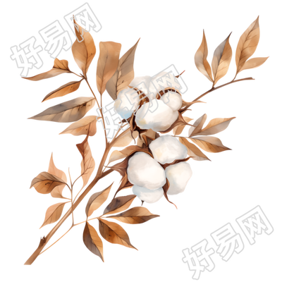 棉花可商用插图