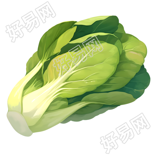 油菜创意设计元素