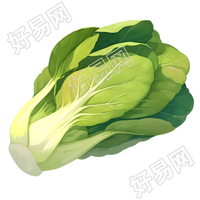油菜创意设计元素