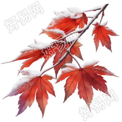 霜降叶子插画素材