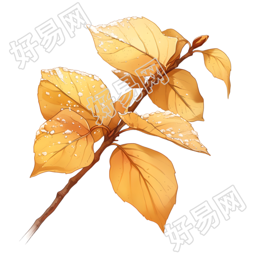 霜降叶子创意元素