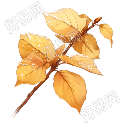 霜降叶子创意元素