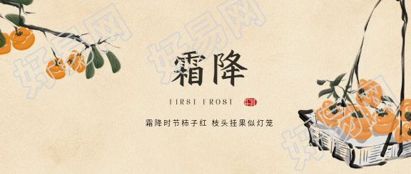 霜降时节柿子红微信公众号首图