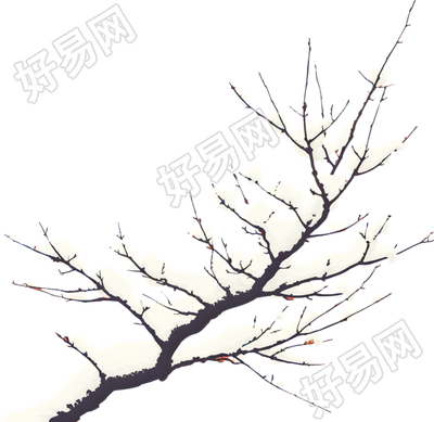 大雪树枝插图
