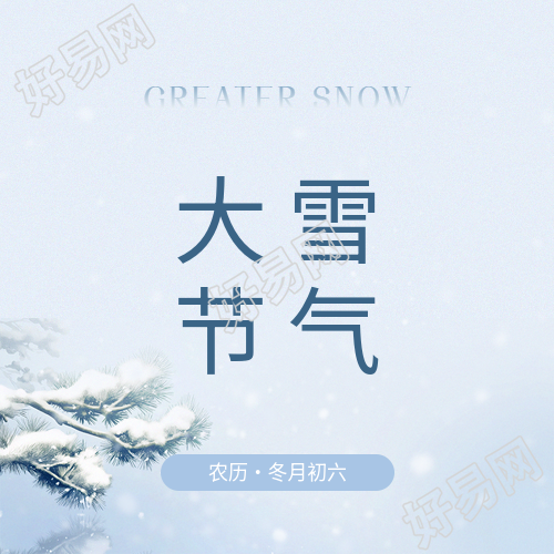 大雪节气唯美松枝微信公众号次图