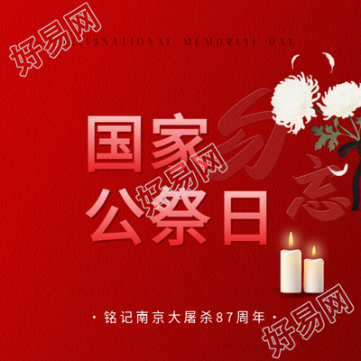 国家公祭日卡通白菊花微信公众号次图
